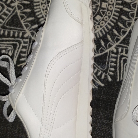 Pumas - Picture 10 of 12